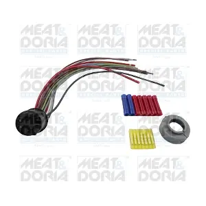 25066 MEAT & DORIA