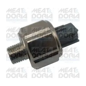 875013 MEAT & DORIA