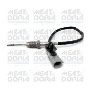 12134 MEAT & DORIA