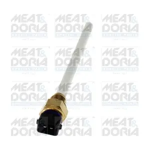 72438 MEAT & DORIA