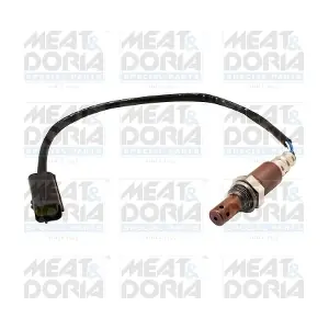 811034 MEAT & DORIA
