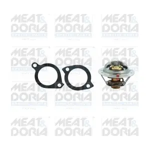 MEAT & DORIA 92311