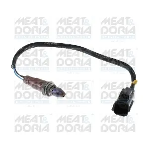 MEAT & DORIA 811118