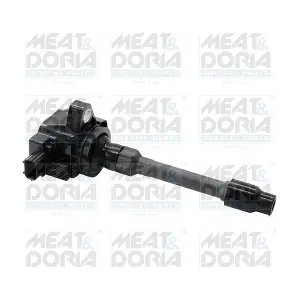 10843 MEAT & DORIA