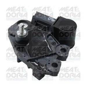 52296 MEAT & DORIA