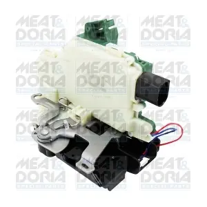 31434 MEAT & DORIA