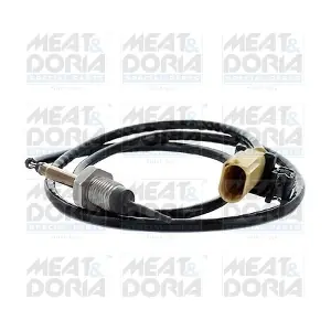 12391 MEAT & DORIA