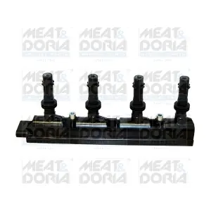 MEAT & DORIA 10606