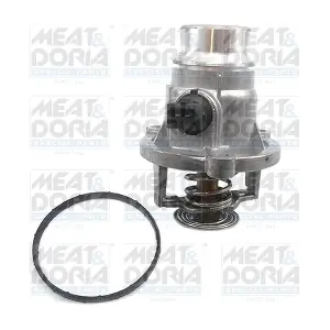 92762 MEAT & DORIA