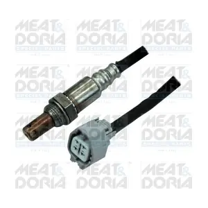 81729 MEAT & DORIA