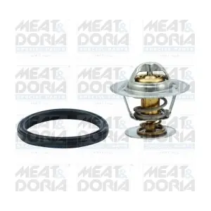 92354 MEAT & DORIA
