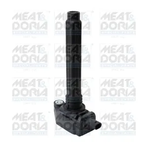 MEAT & DORIA 10886