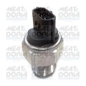 9398 MEAT & DORIA