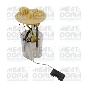 77865 MEAT & DORIA