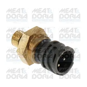 72131 MEAT & DORIA