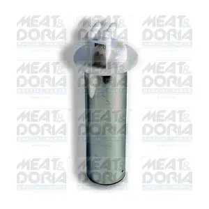 79001 MEAT & DORIA