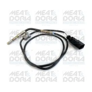 12161 MEAT & DORIA