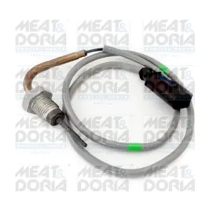 12384 MEAT & DORIA