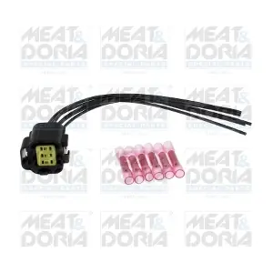 25552 MEAT & DORIA