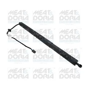 301023 MEAT & DORIA
