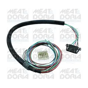 25125 MEAT & DORIA