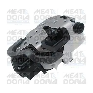 31148 MEAT & DORIA