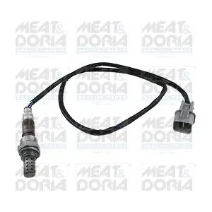 81981 MEAT & DORIA
