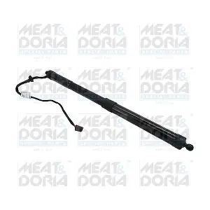 301034 MEAT & DORIA