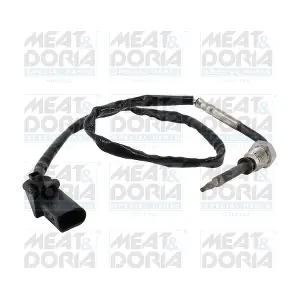 12582 MEAT & DORIA