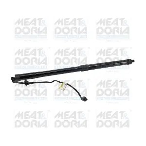 301098 MEAT & DORIA