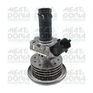 73009 MEAT & DORIA