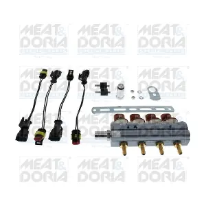 13066 MEAT & DORIA