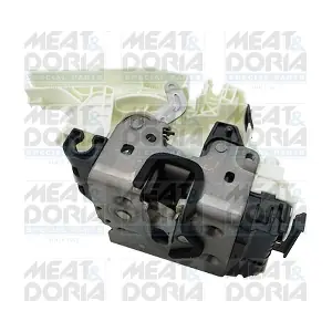 31320 MEAT & DORIA