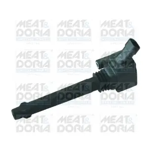 MEAT & DORIA 10541