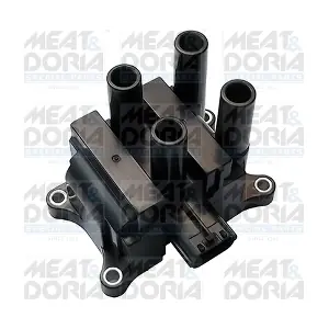 10684 MEAT & DORIA