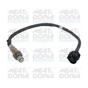 811091 MEAT & DORIA