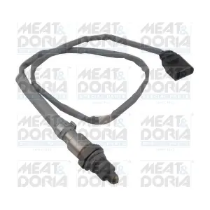 81947 MEAT & DORIA