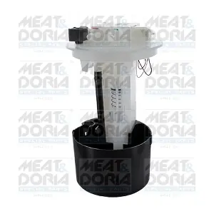 79438 MEAT & DORIA
