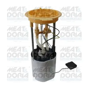 77845 MEAT & DORIA