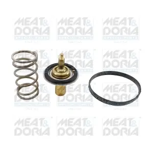 92909 MEAT & DORIA