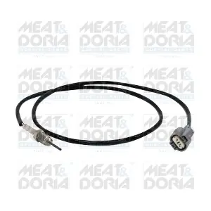 12441 MEAT & DORIA