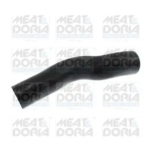 961204 MEAT & DORIA