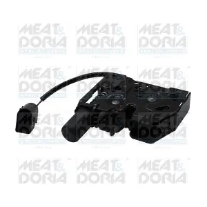 31762 MEAT & DORIA