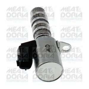 915041 MEAT & DORIA