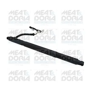 301008 MEAT & DORIA