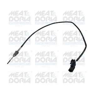 12473 MEAT & DORIA