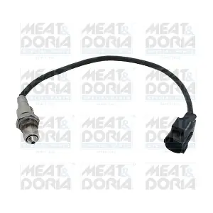 81998 MEAT & DORIA