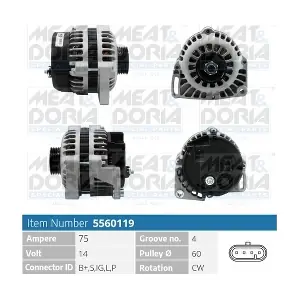 MEAT & DORIA 5560119