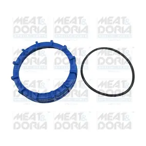 MEAT & DORIA GSK13