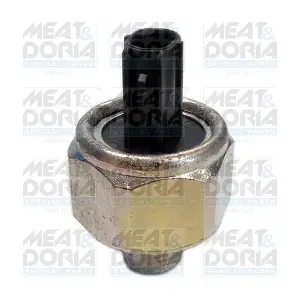 87984 MEAT & DORIA